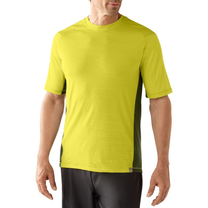 Męska Koszulka Smartwool Teller Tech Tee 150