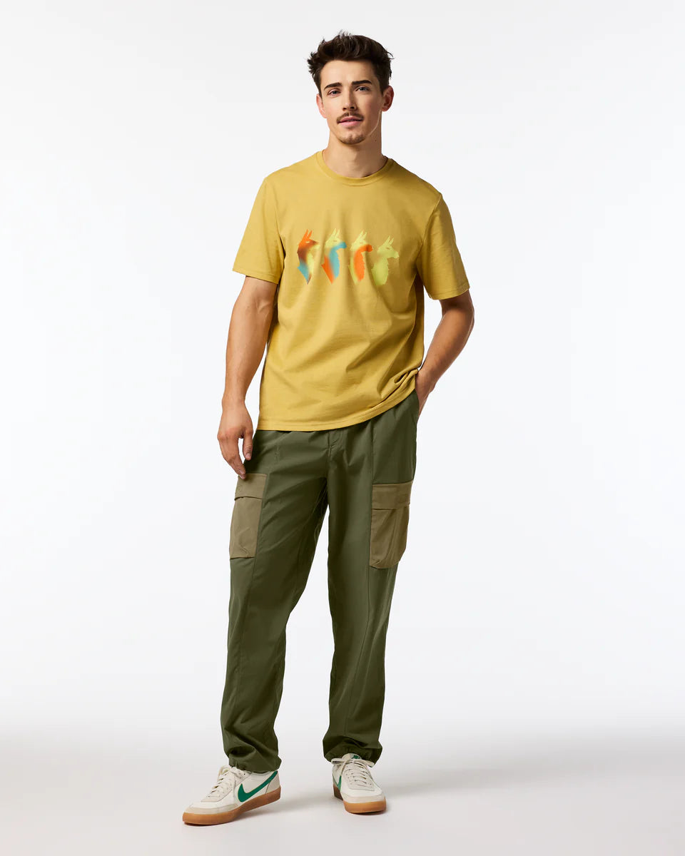 Koszulka Męska Cuatro Bitmap T-Shirt, Husk