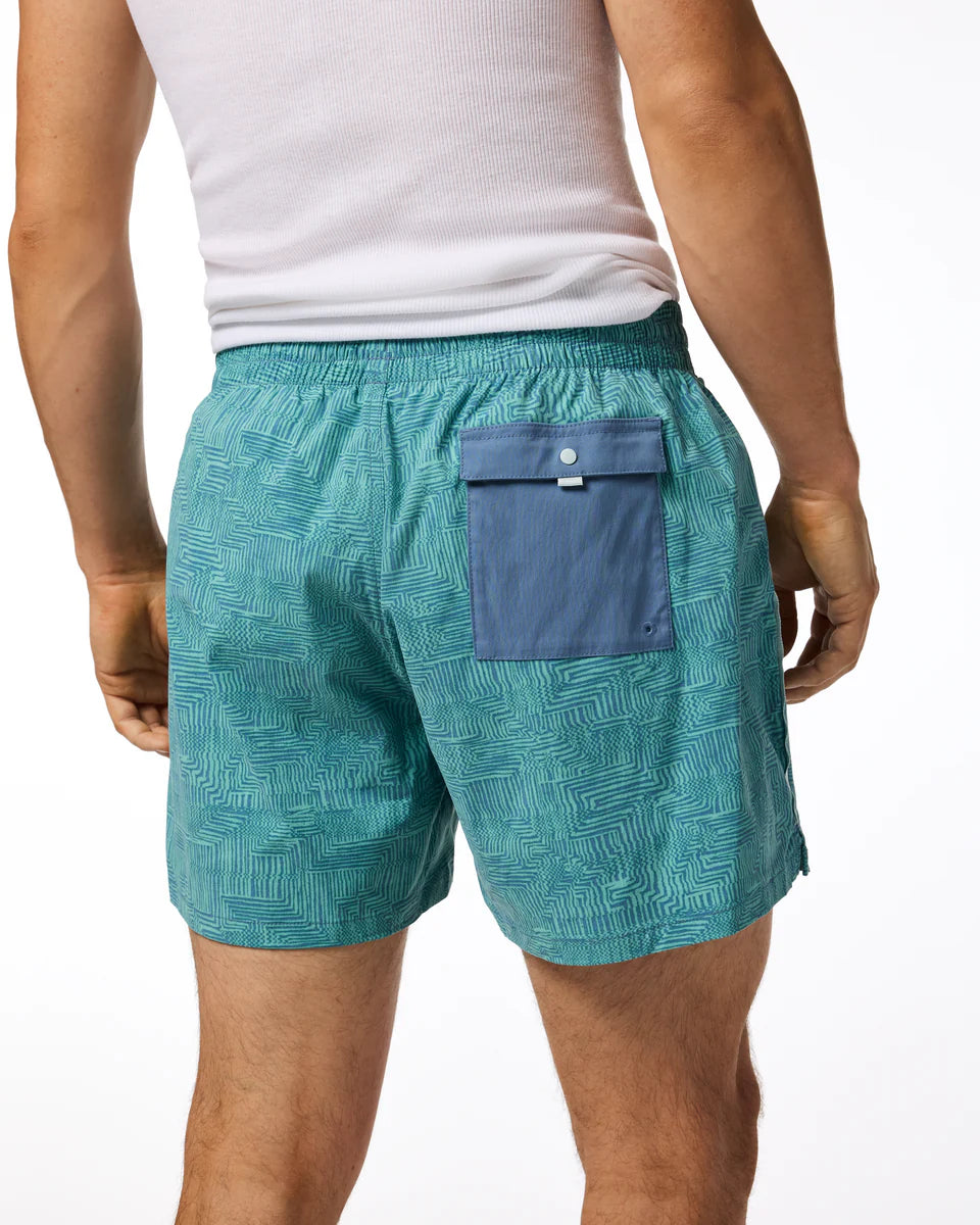 Szorty Męskie Brinco 5" Short - Print, Zen Garden Tide Pool