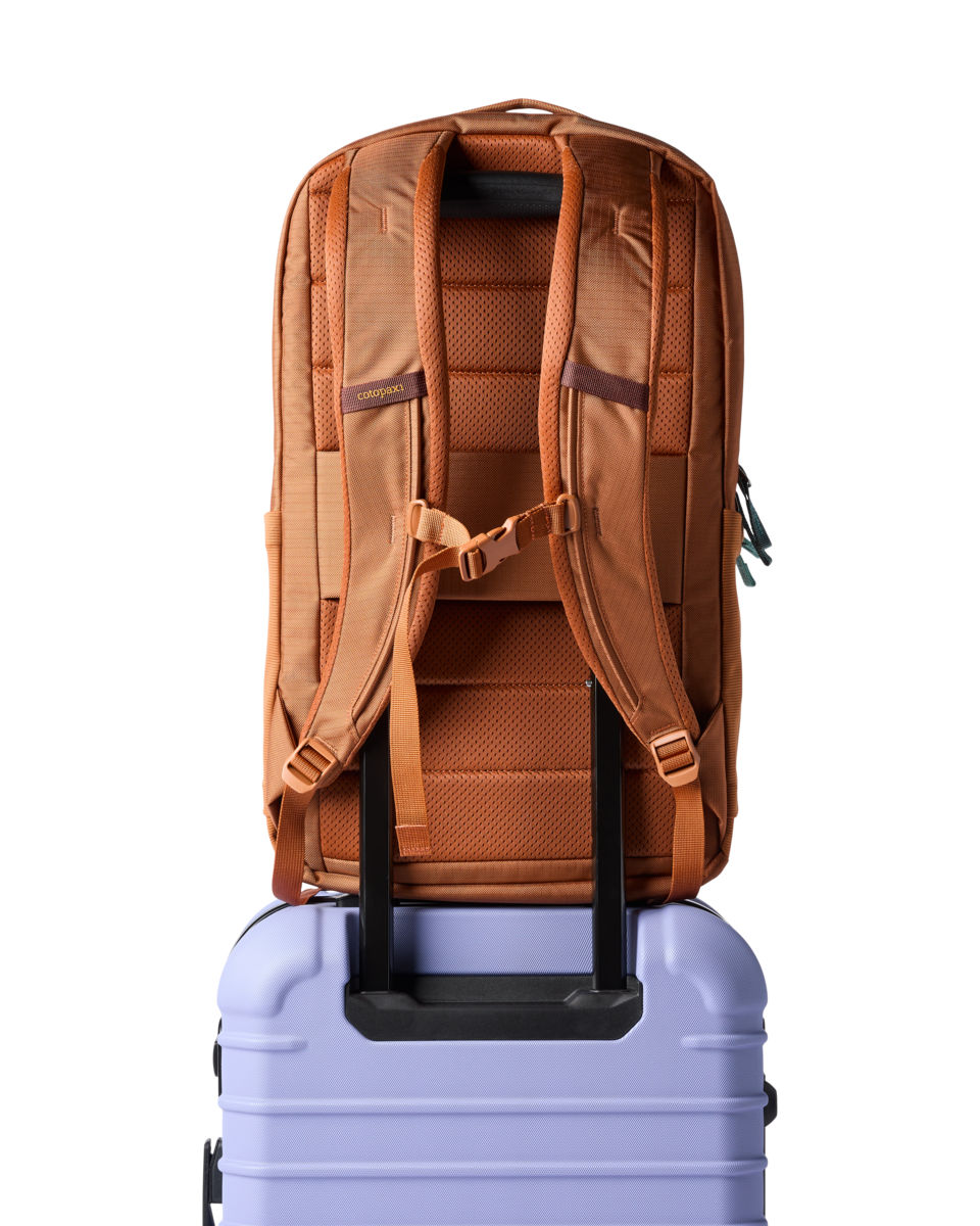 Plecak Allpa 26L Daypack, Whiskey