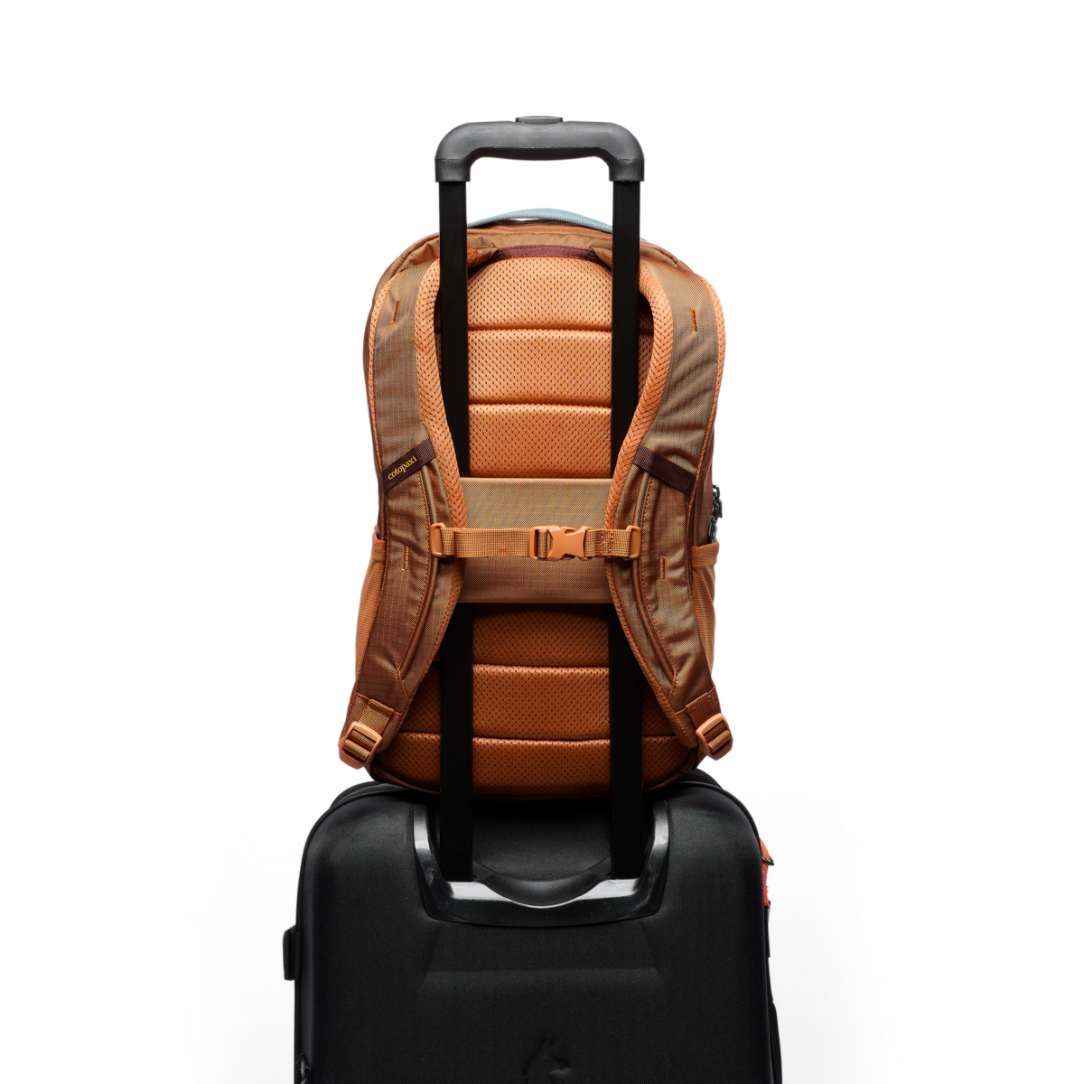 Plecak Allpa 18L Daypack, Whiskey