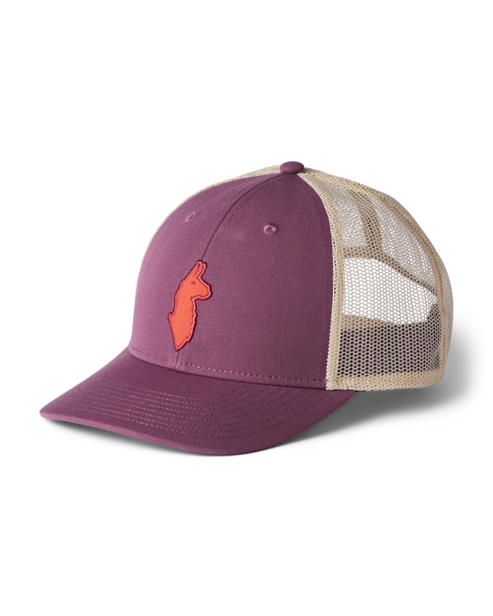 Czapka z daszkiem Llama Trucker Hat, Mystic
