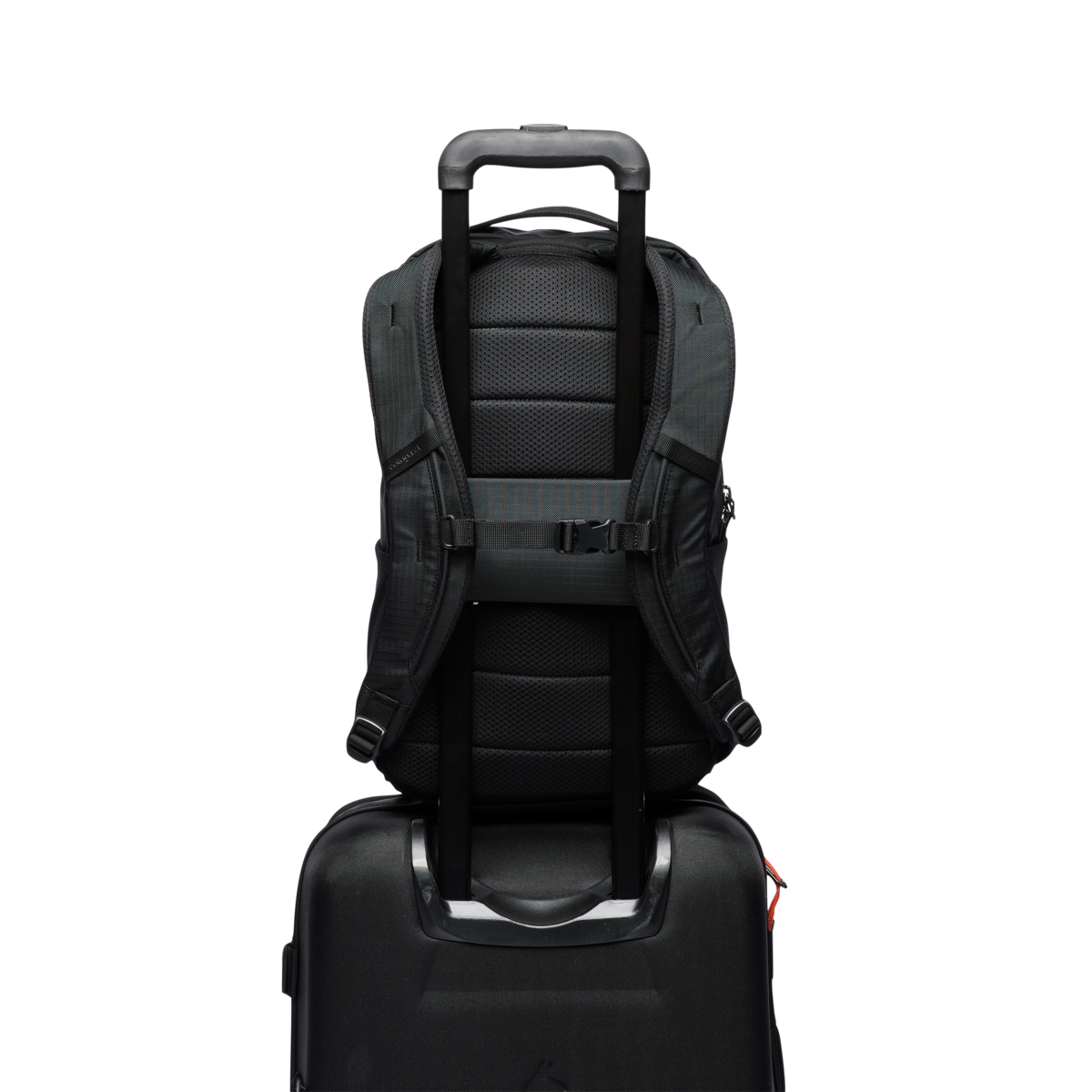 Plecak Allpa 18L Daypack, Cotopaxi Black