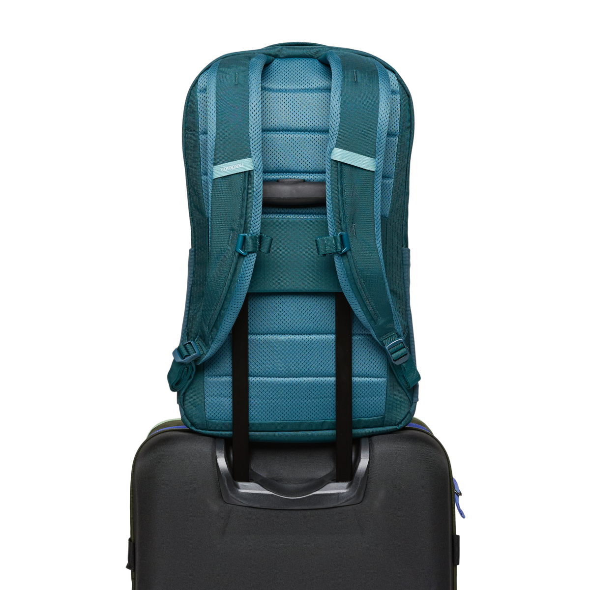 Plecak Allpa 26L Daypack, Blue Spruce and Abyss
