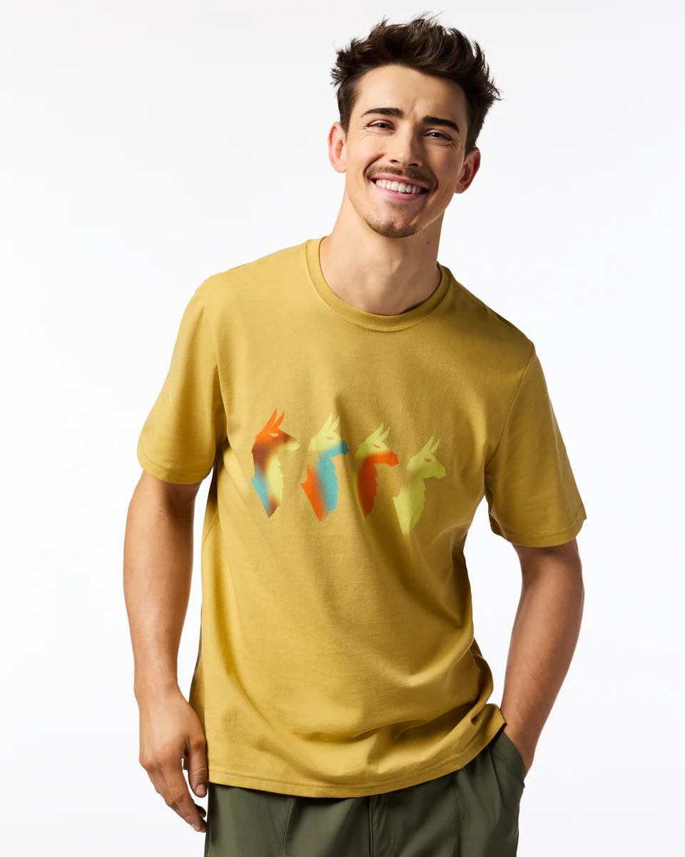 Koszulka Męska Cuatro Bitmap T-Shirt, Husk