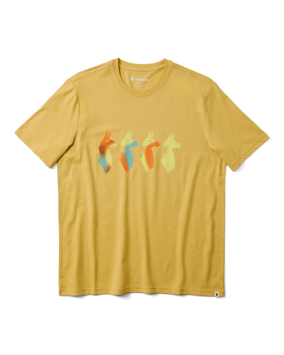 Koszulka Męska Cuatro Bitmap T-Shirt, Husk