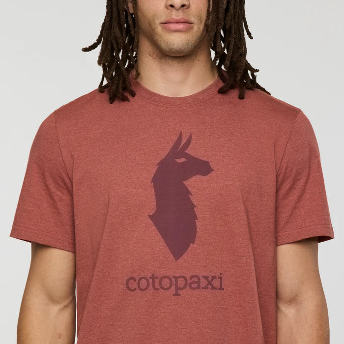T-Shirt Męski Cotopaxi Llama,  Nutmeg
