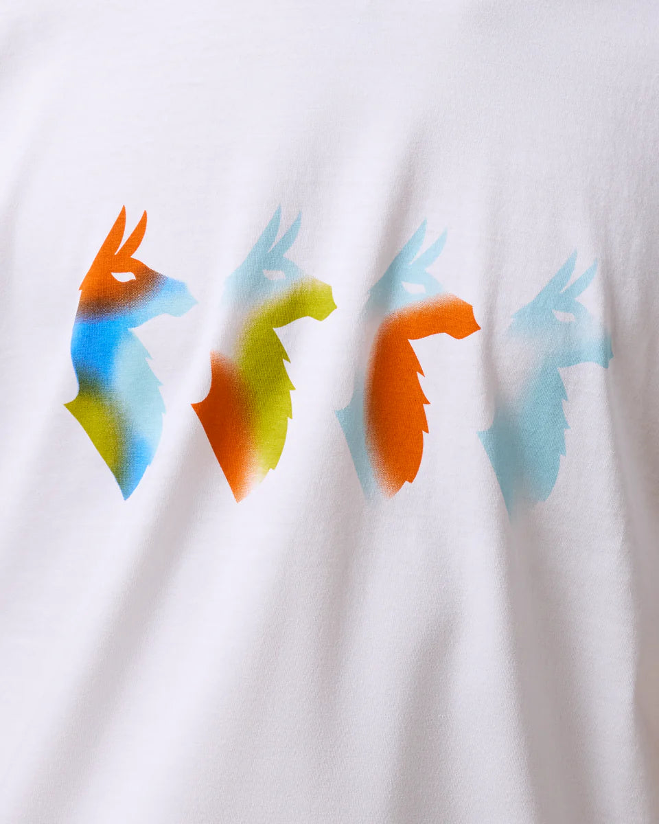 Koszulka Męska Cuatro Bitmap T-Shirt, White