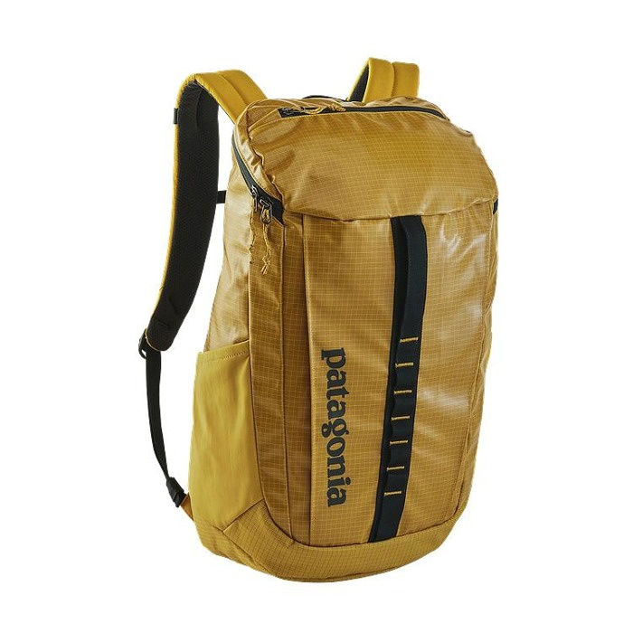 Plecak Patagonia Black Hole Pack 25L