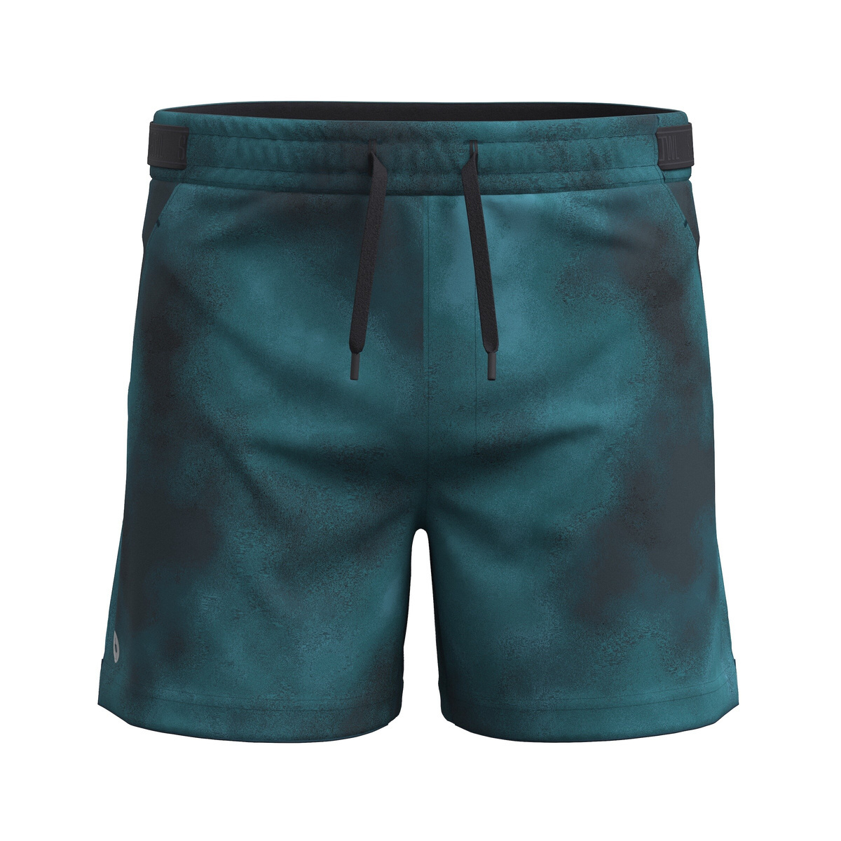 Męskie Spodnie Szorty SmartWool Merino Active Lined 5'' Short