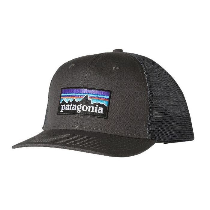 Czapka z Daszkiem Patagonia P6 Trucker
