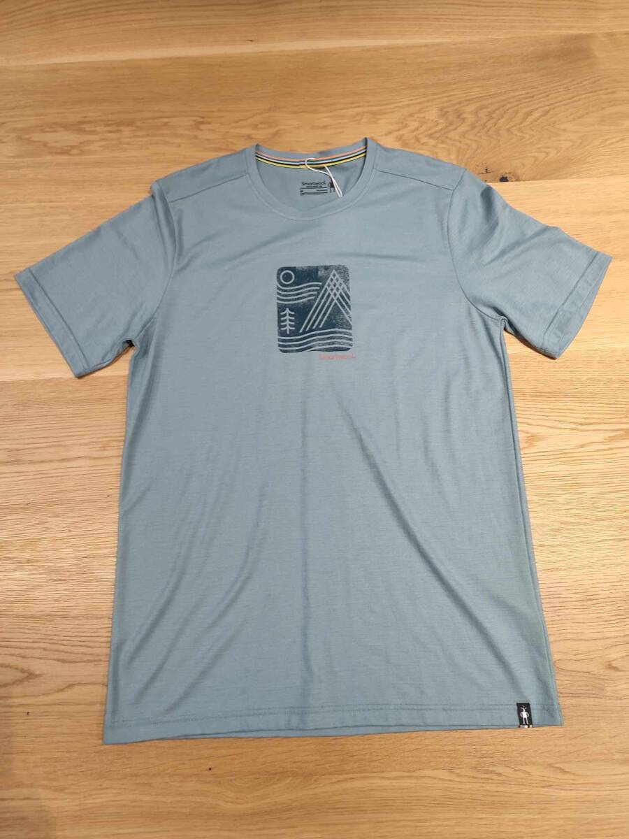 Męska Koszulka Smartwool Merino BZ Graphic SS Tee