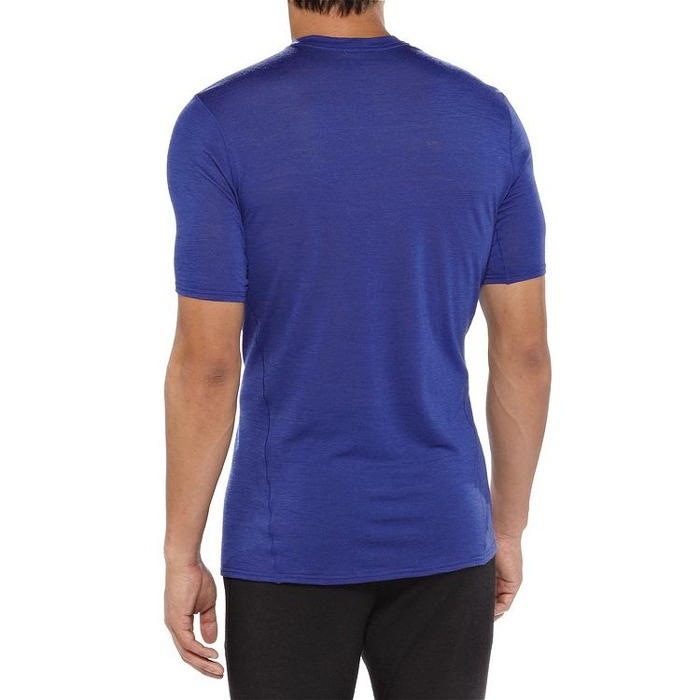 T-shitrt Patagonia Merino Silkweight 