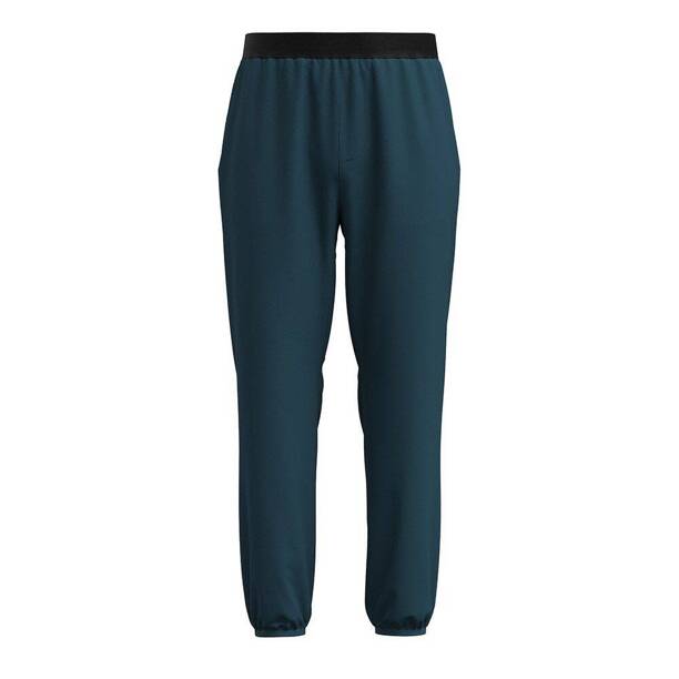 Męskie Spodnie Szorty SmartWool Merino Active Tech Pant